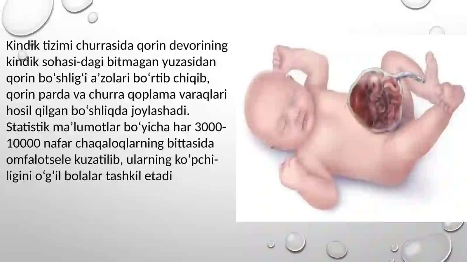 EMBRIONAL CHURRA(KINDIK TIZIMCHASI CHURRASI) 2