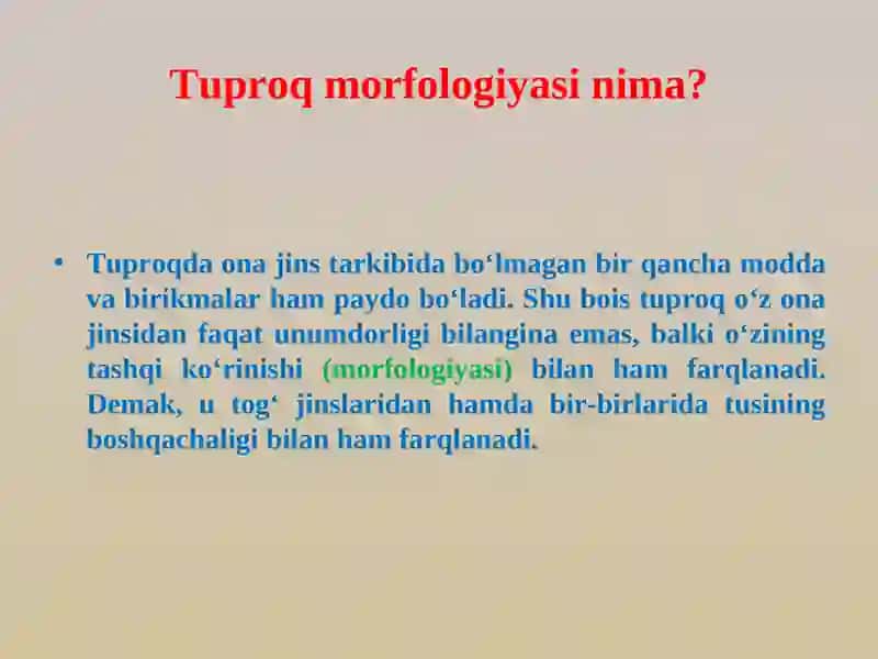 Tuproqlarning morfologik xususiyatlari 2