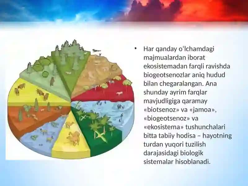 Ekosistema tarkibiy qismlari dars ishlanma 2