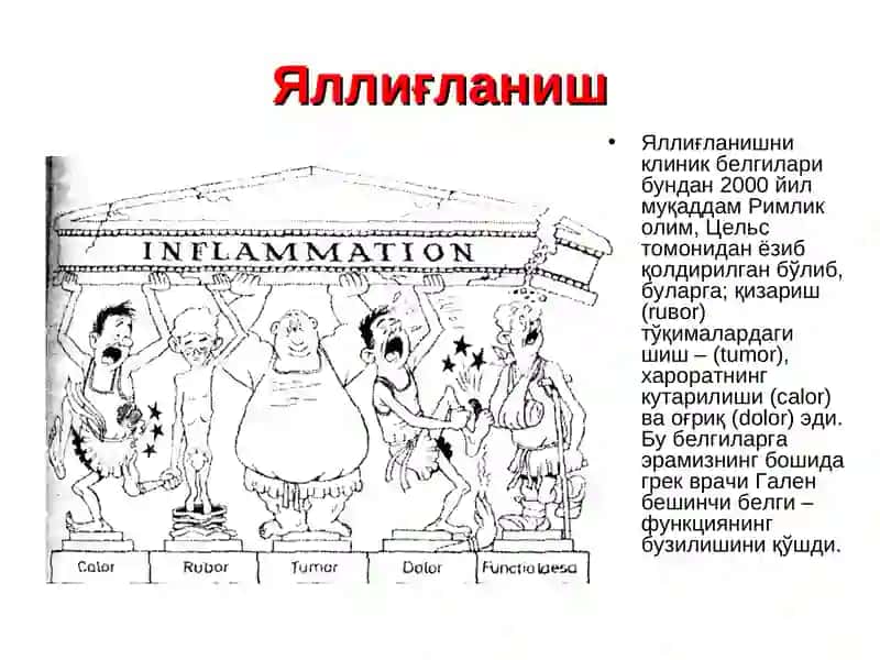 Яллиғланиш 2