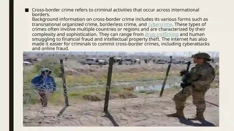 Cross-border crime 2