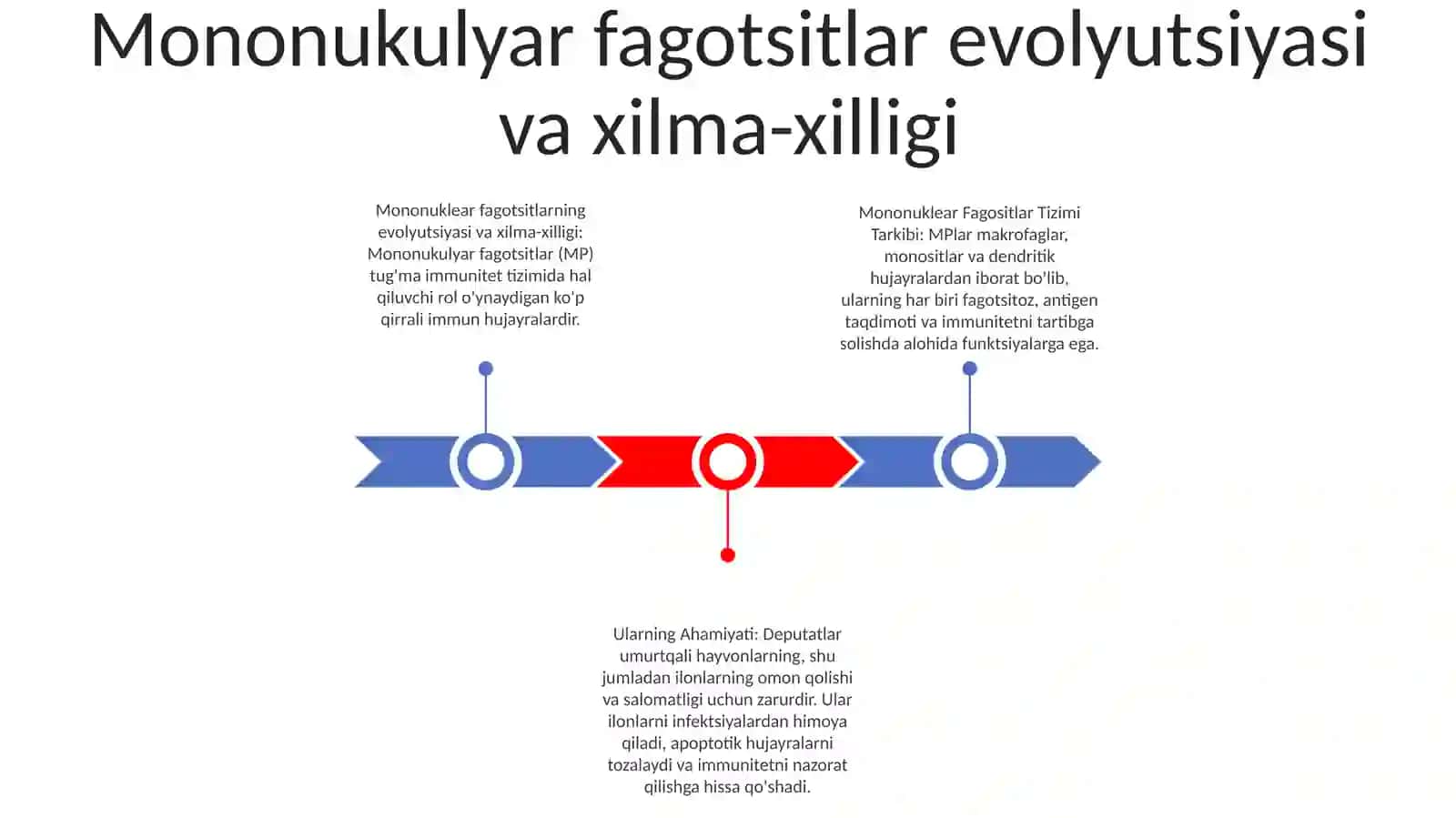 Mononuklear Fagositlar Tizimi Tarkibi Ularning Ahamiyati 2
