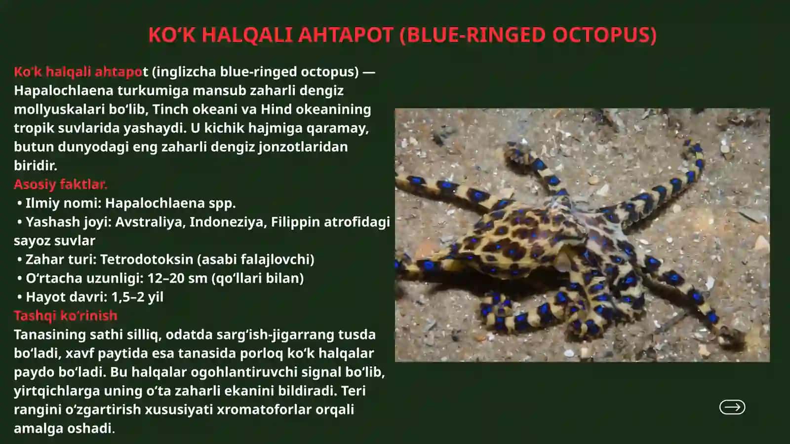 zaharli hayvonlar 2