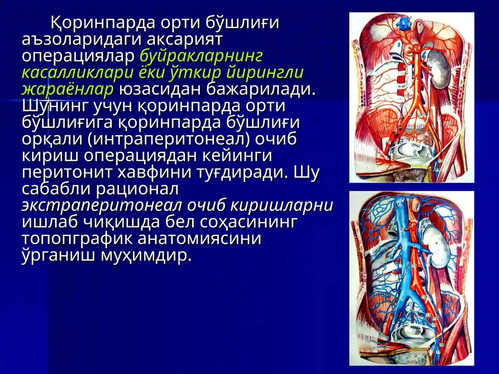 Қоринпарда орти бўшлиқнинг жарроҳлик анатомияси 2