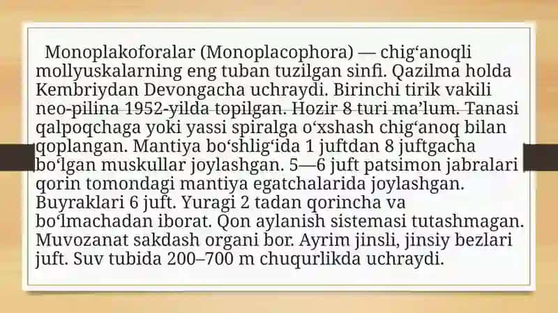 Monoplakoforalarning umumiy tuzilishi 2
