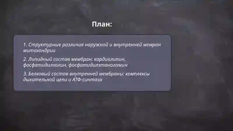 Строение мембран митохондрии 2