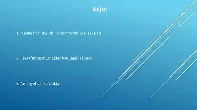 Mushaklarning ishi va biomexanikasi 2