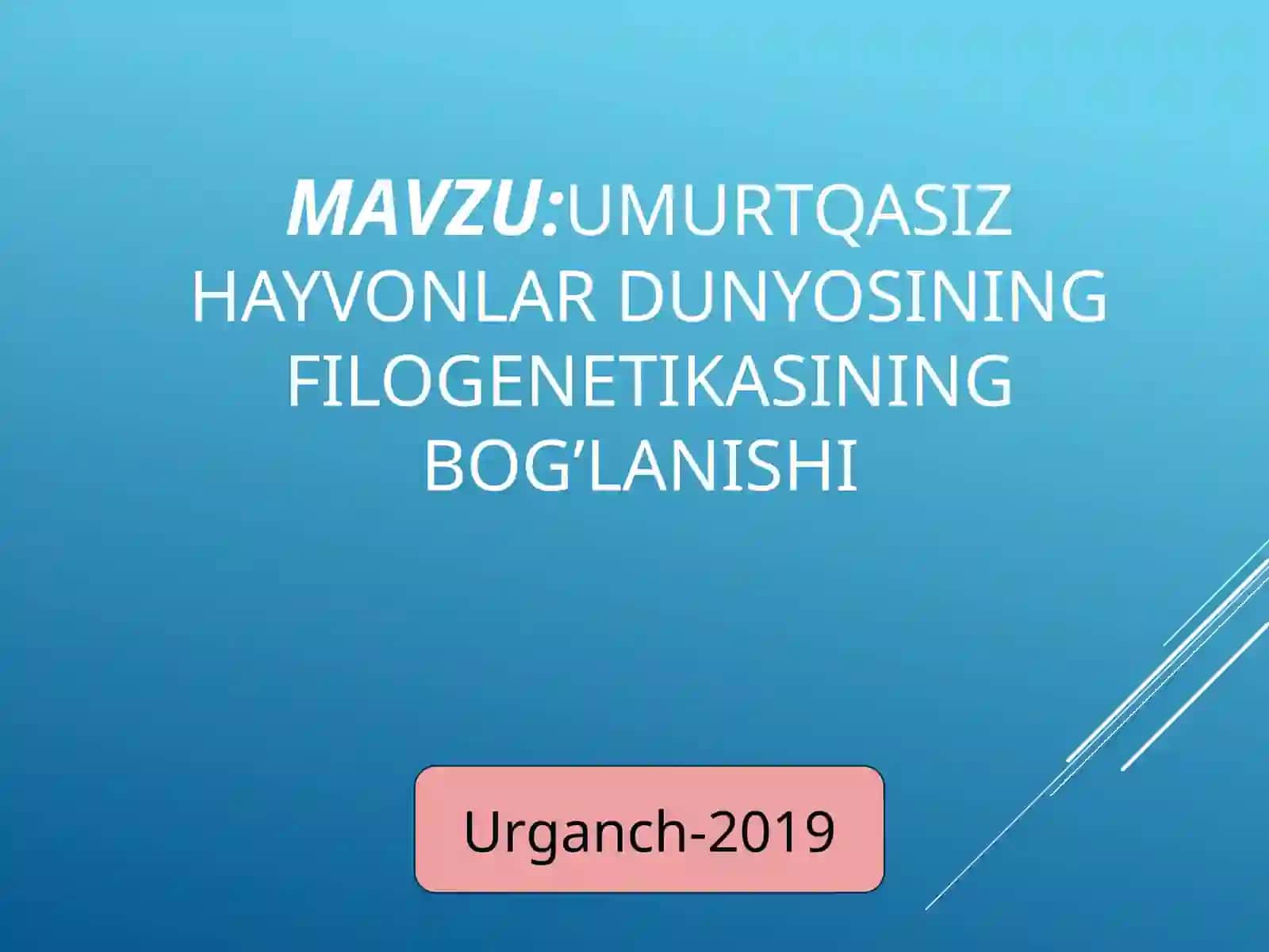 Umurtqasiz hayvonlar filogenetikasi 2