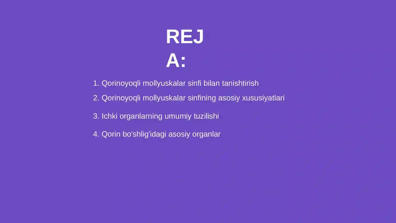 Qorinoyoqli mollyuskalar sinfi 2