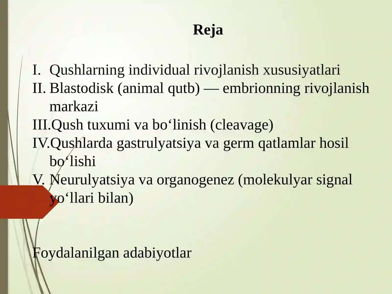 Qushlarning individual rivojlanish xususiyatlari 2026 yil 2