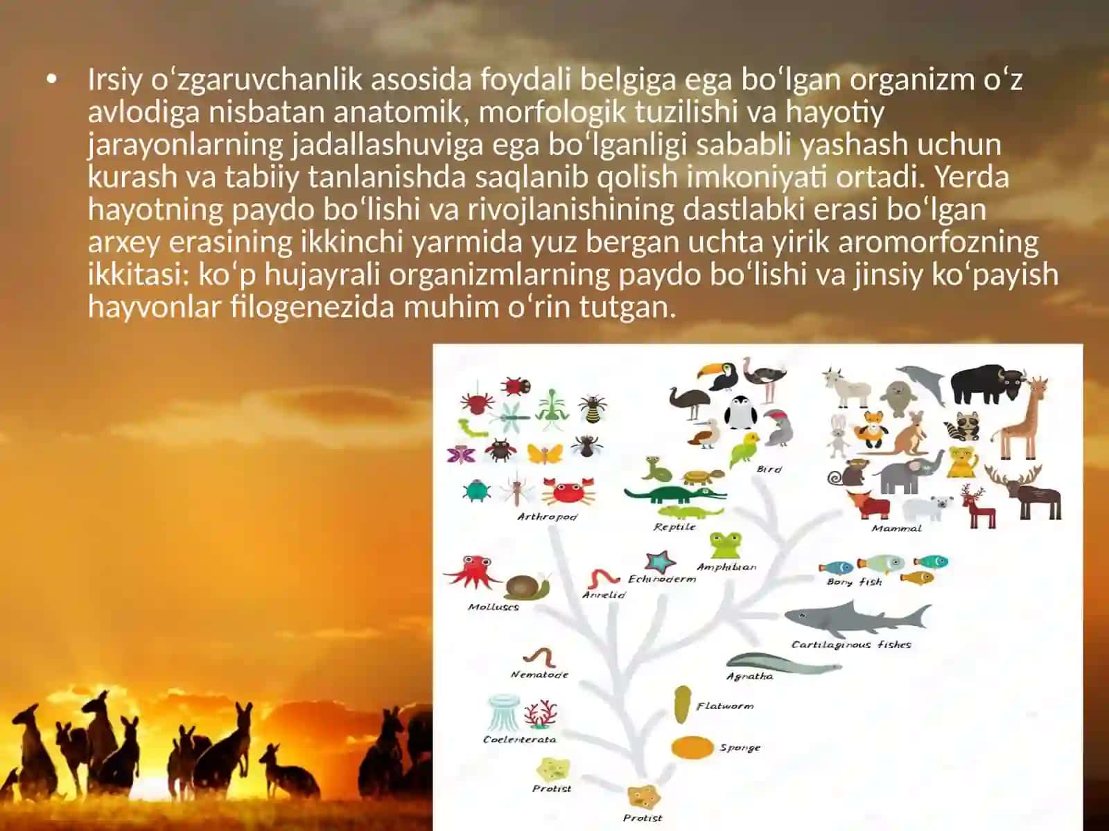 38-§.Hayvonot dunyosidagi evolutsion o‘zgarishlar 2