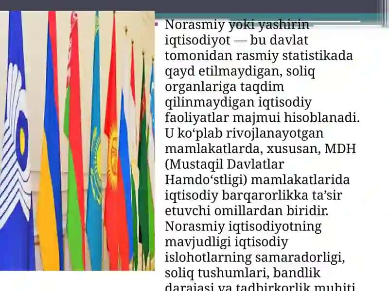 MDH mamlakatlarida norasmiy iqtisodiyot 2