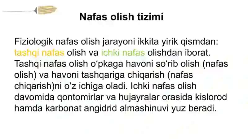 Nafas olish tizimi 2