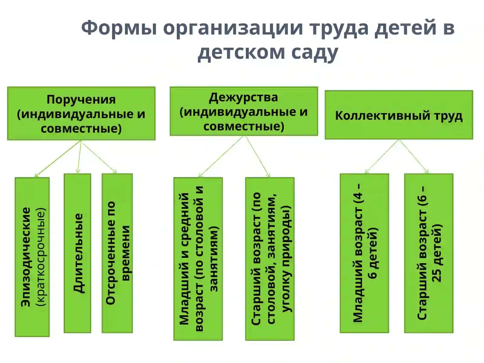Формы организации труда детей: поручения 2