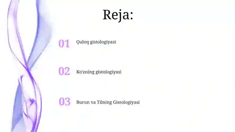Burun va Tilning Gistologiyasi 2