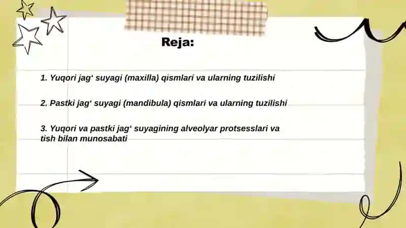 Kalla suyagining yuz qismi suyaklari 2