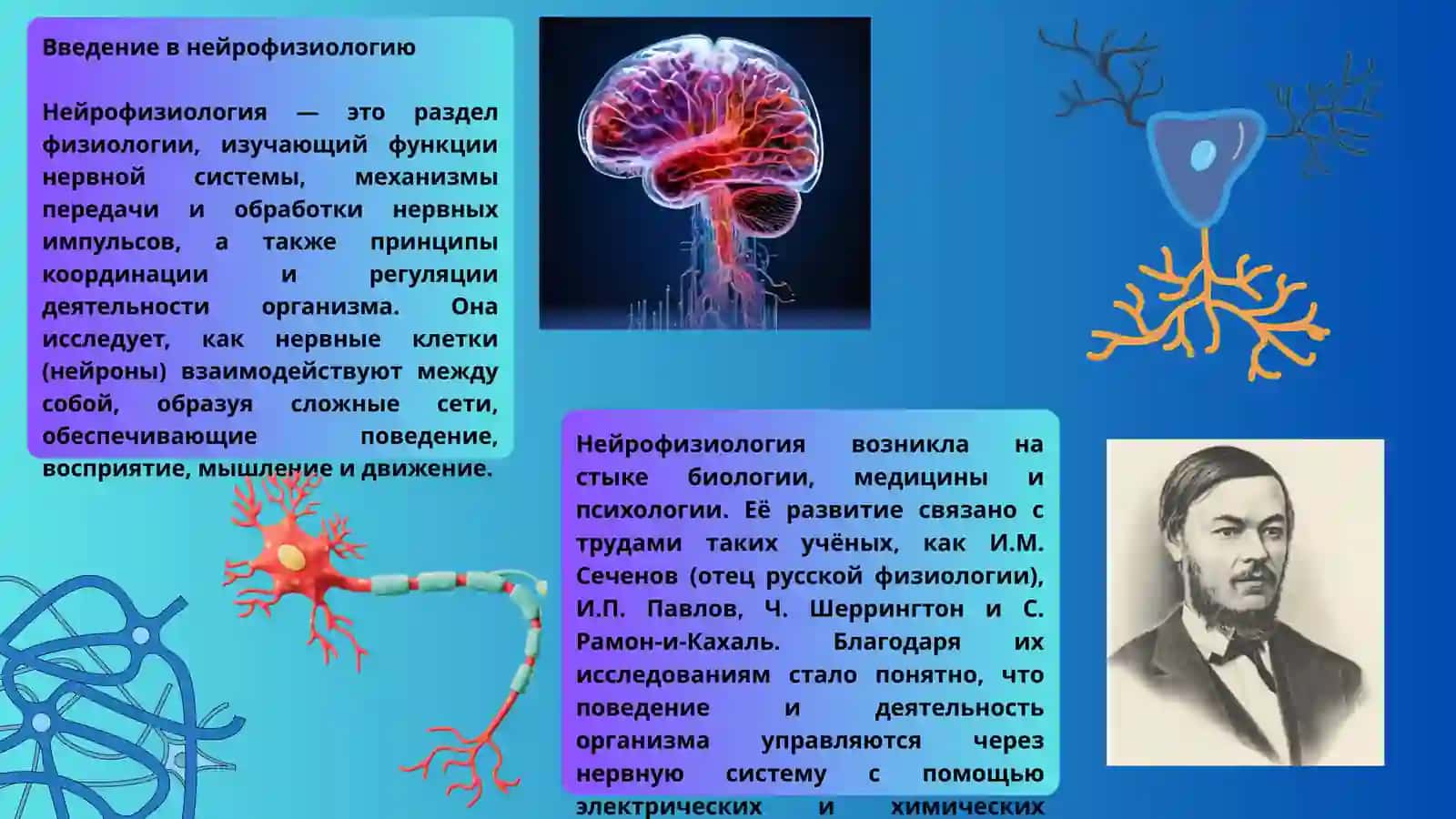 Введение в нейрофизиологии 2