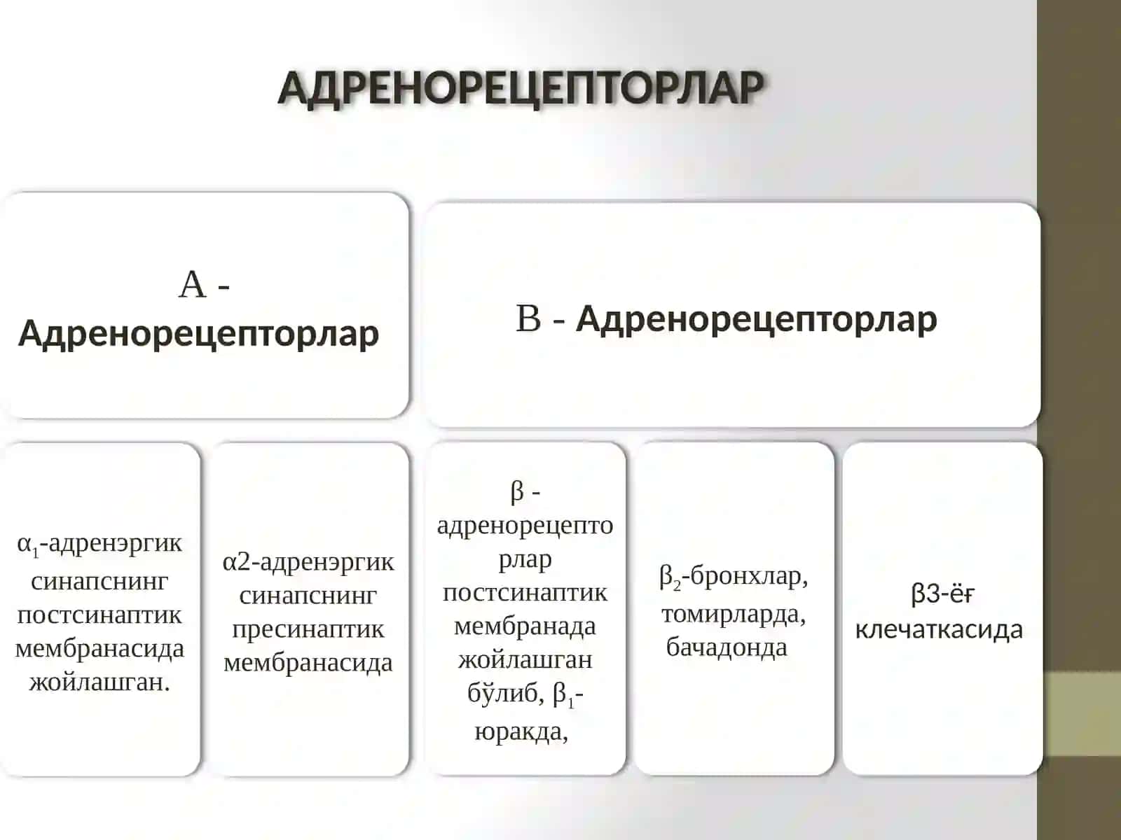 Адренергик тизимга таъсир этувчи воситалар 2
