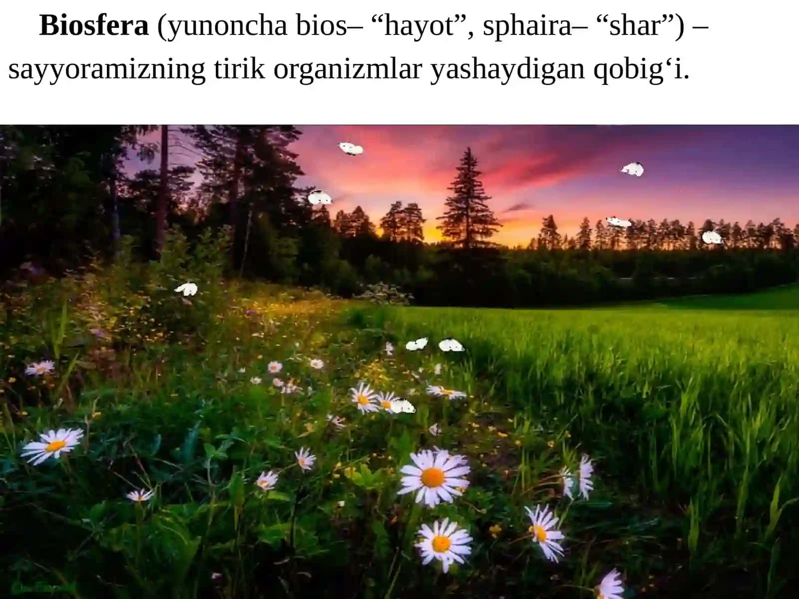 BIOSFERA 2
