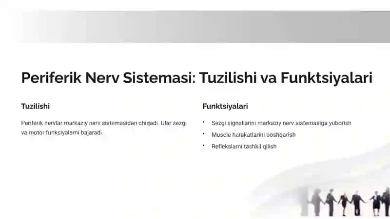 Periferik Nervlar Shikastlanishi: Umumiy Turlari va Neyropatiyalar 2