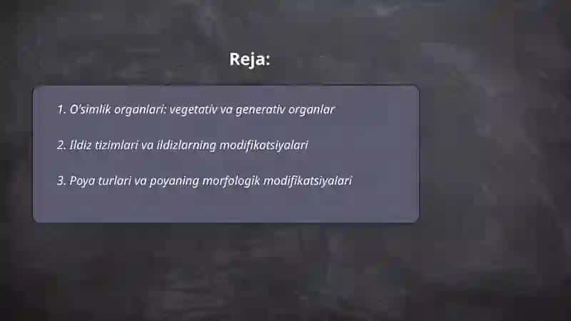 O'simliklar morfologiyasi 2