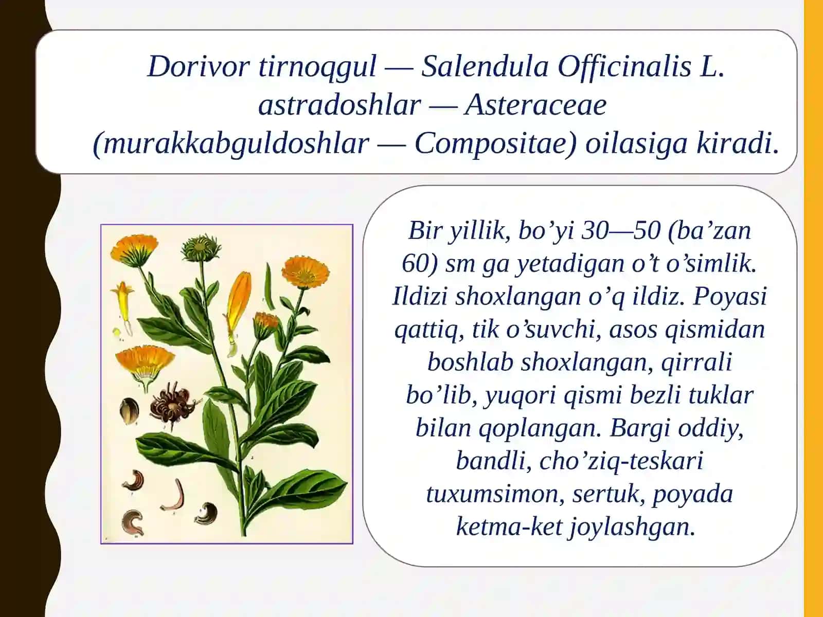 Dorivortirnoqgul 2
