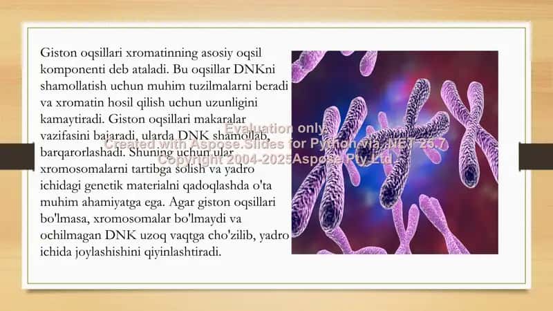 Giston bo'lmagan xromasomalar 2