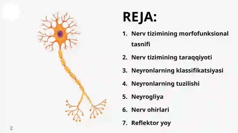 NERV TO‘QIMASI 2