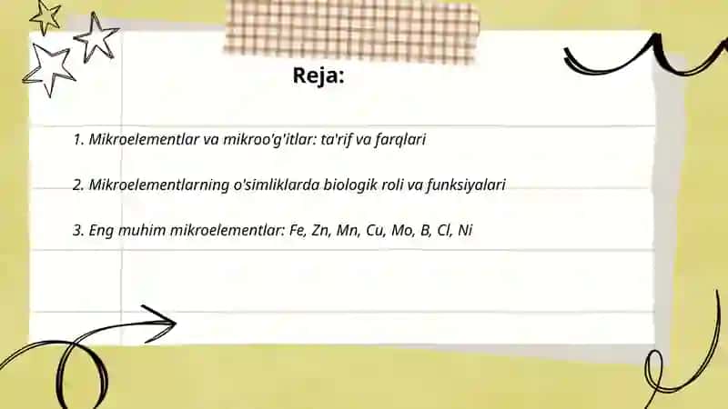 Mikroo'g'itlar va Mikroelementlar 2