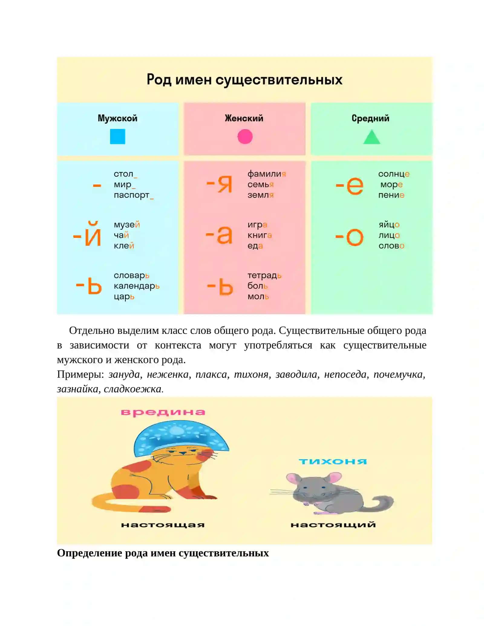 Род имён существительных 2