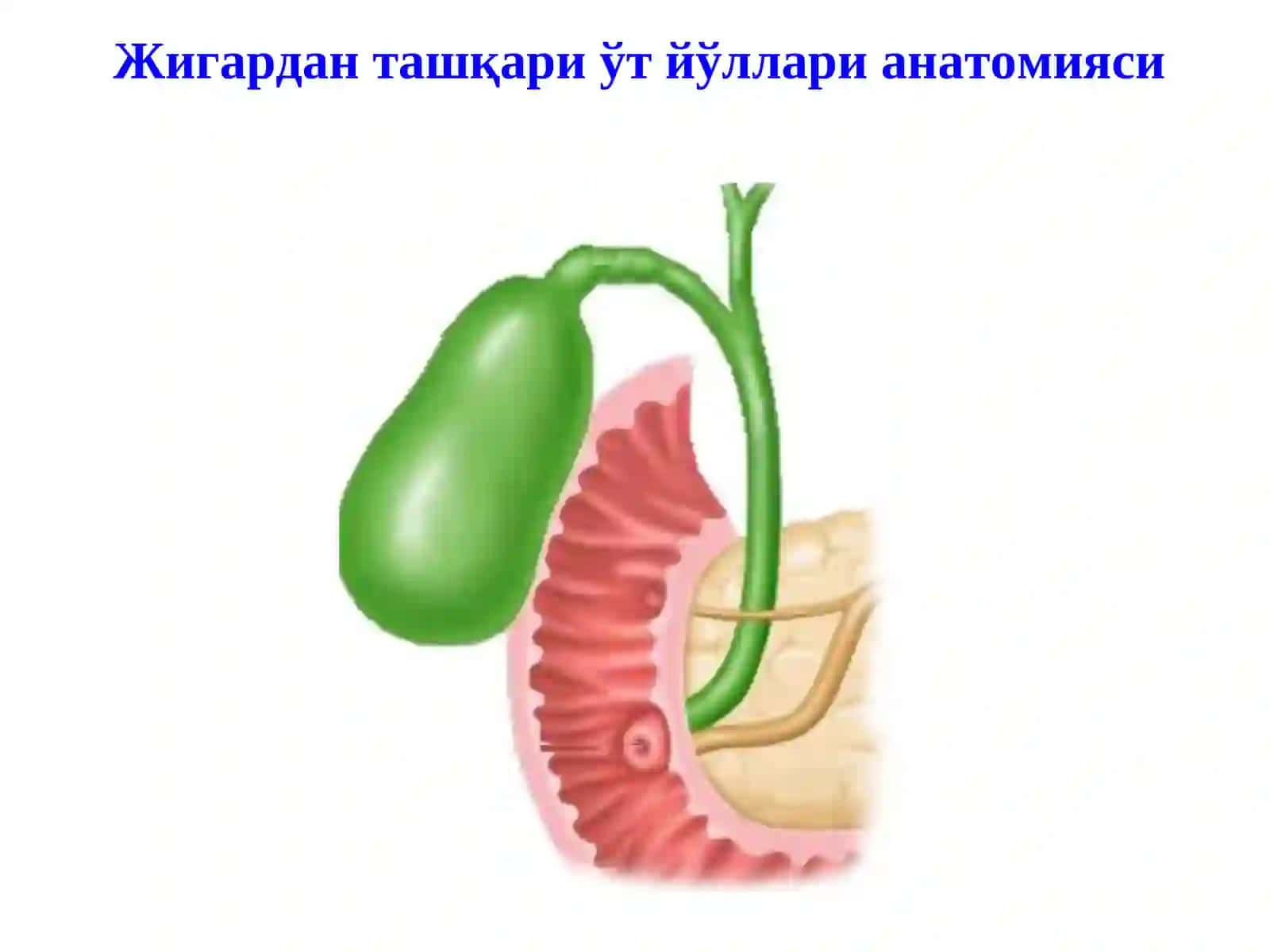 Механик сариқлик, постхолецистэктомик синдром 2