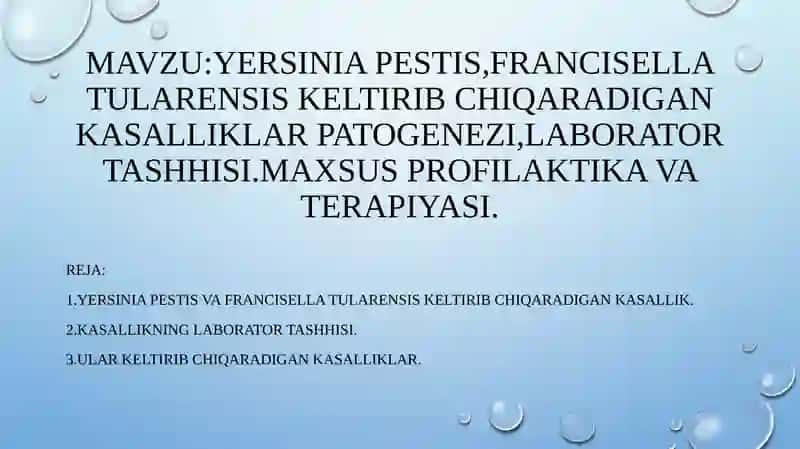 Yersinia pestis va Francella tularensis kasalliklar patogenezi 2