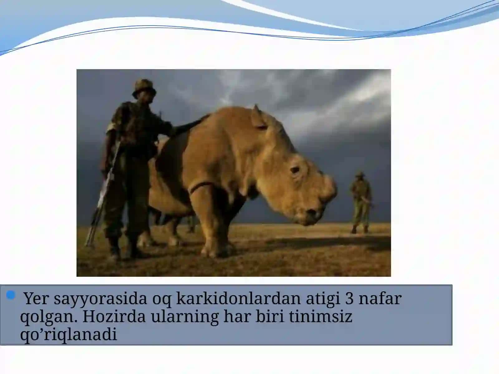 Yersayyorasi 2