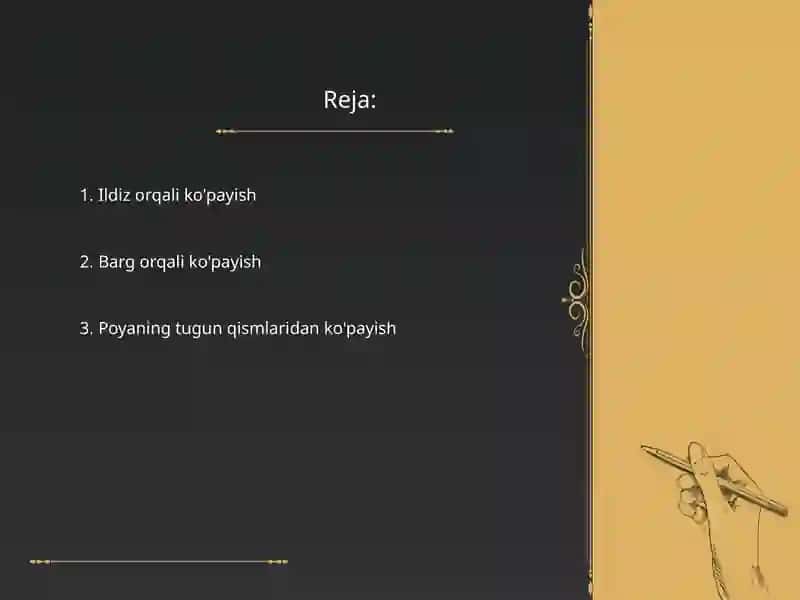 O'simliklarning vegetativ ko'payish 2