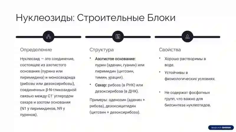 Нуклеозиды и Нуклеотиды: Основы Жизни 2