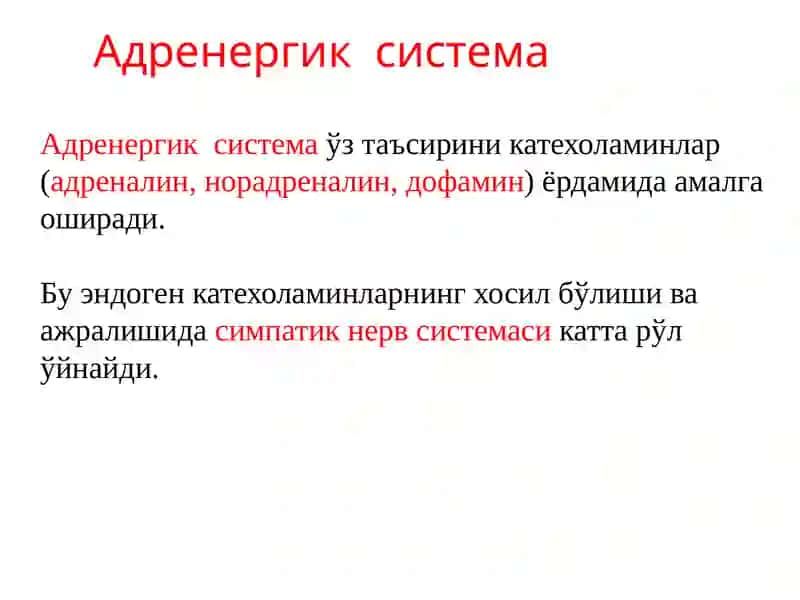Адреномиметик дори воситалар 2