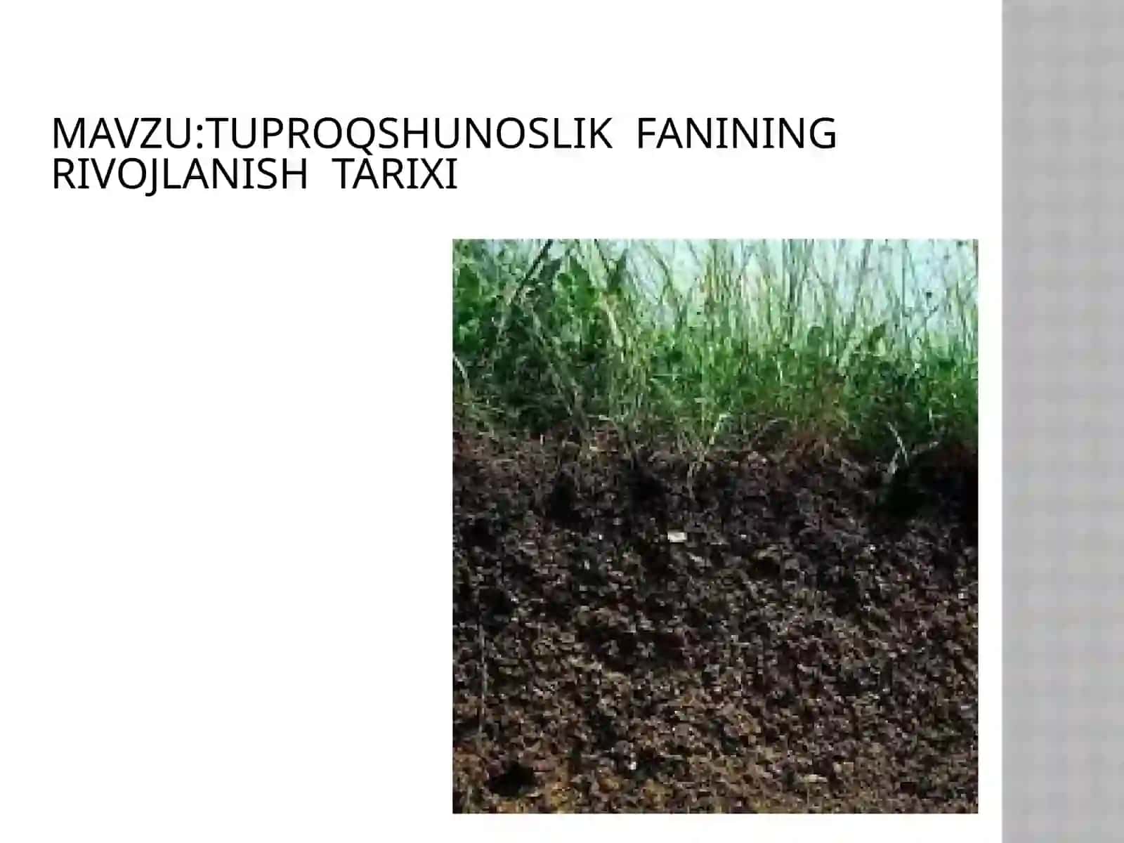 Tuproqshunoslik fanining rivojlanishi 2
