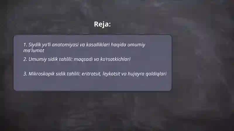 Siydik yo‘li anatomiyasi va kasalliklari 2