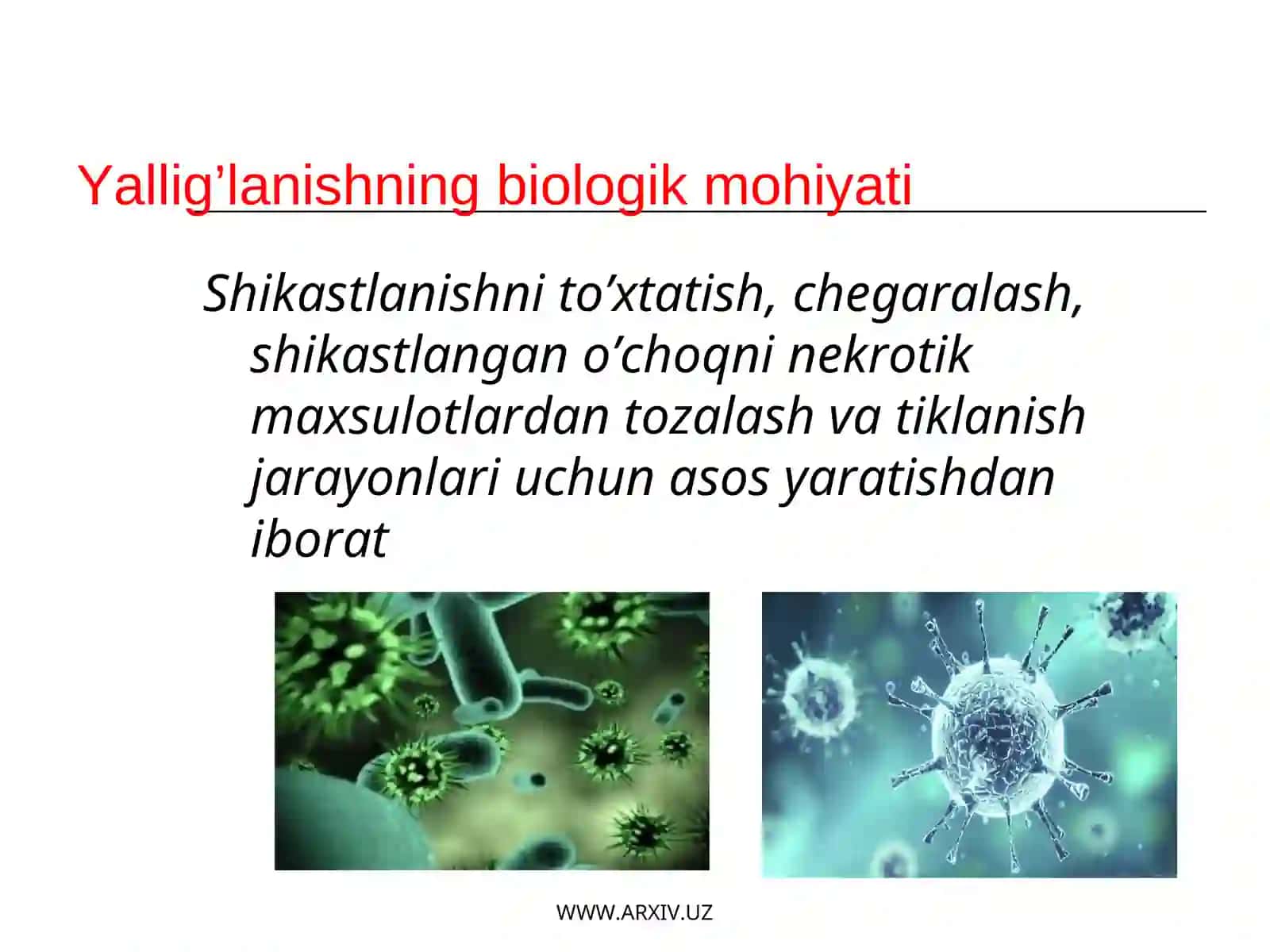 Yallig’lanishning biologik mohiyati 2