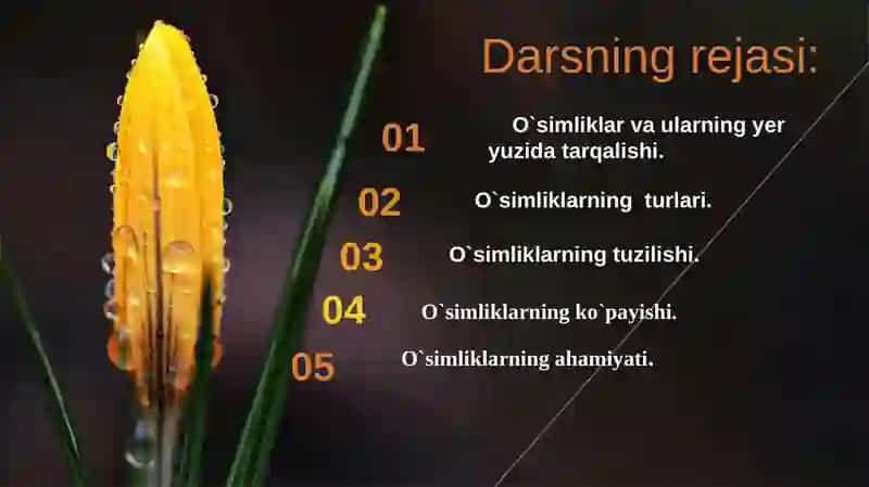 O`simliklarning tuzilishi va funksiyasi 2