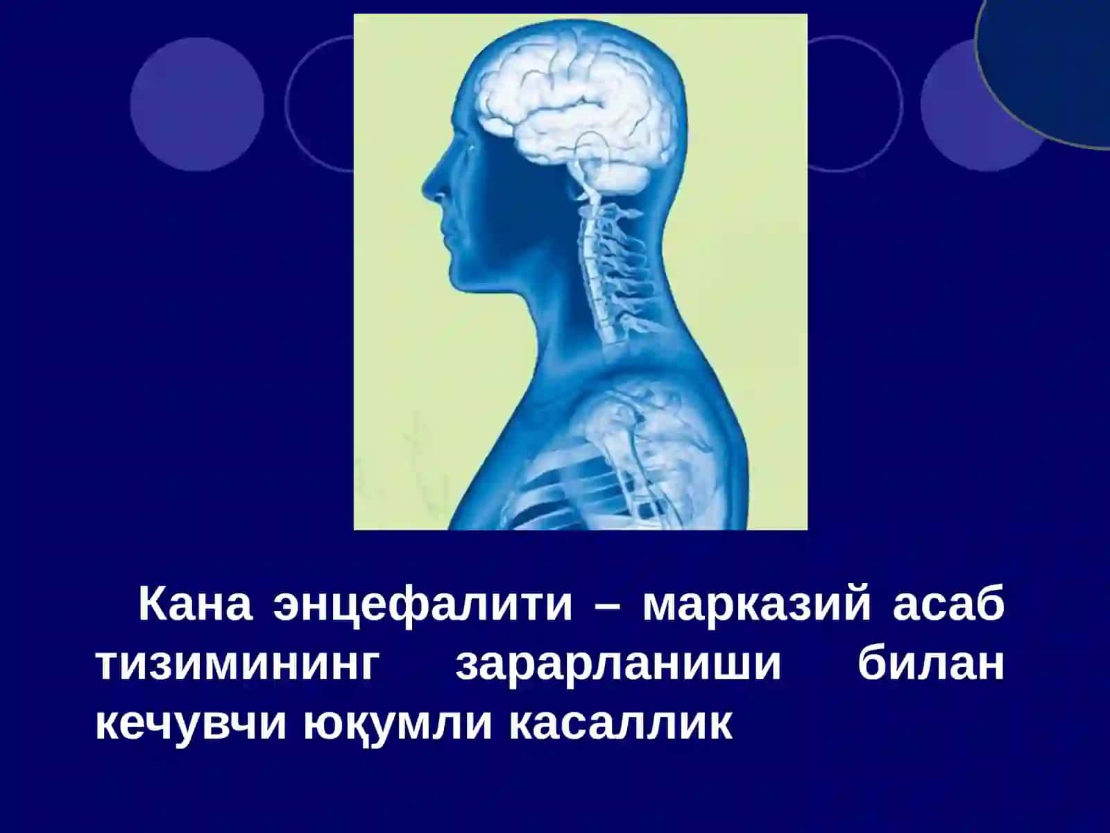 Канаэнцефалити 2