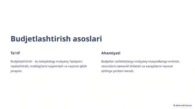 Budjetlashtirish va budjetni boshqarish 2