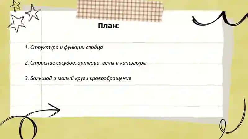 Система кровообращения 2