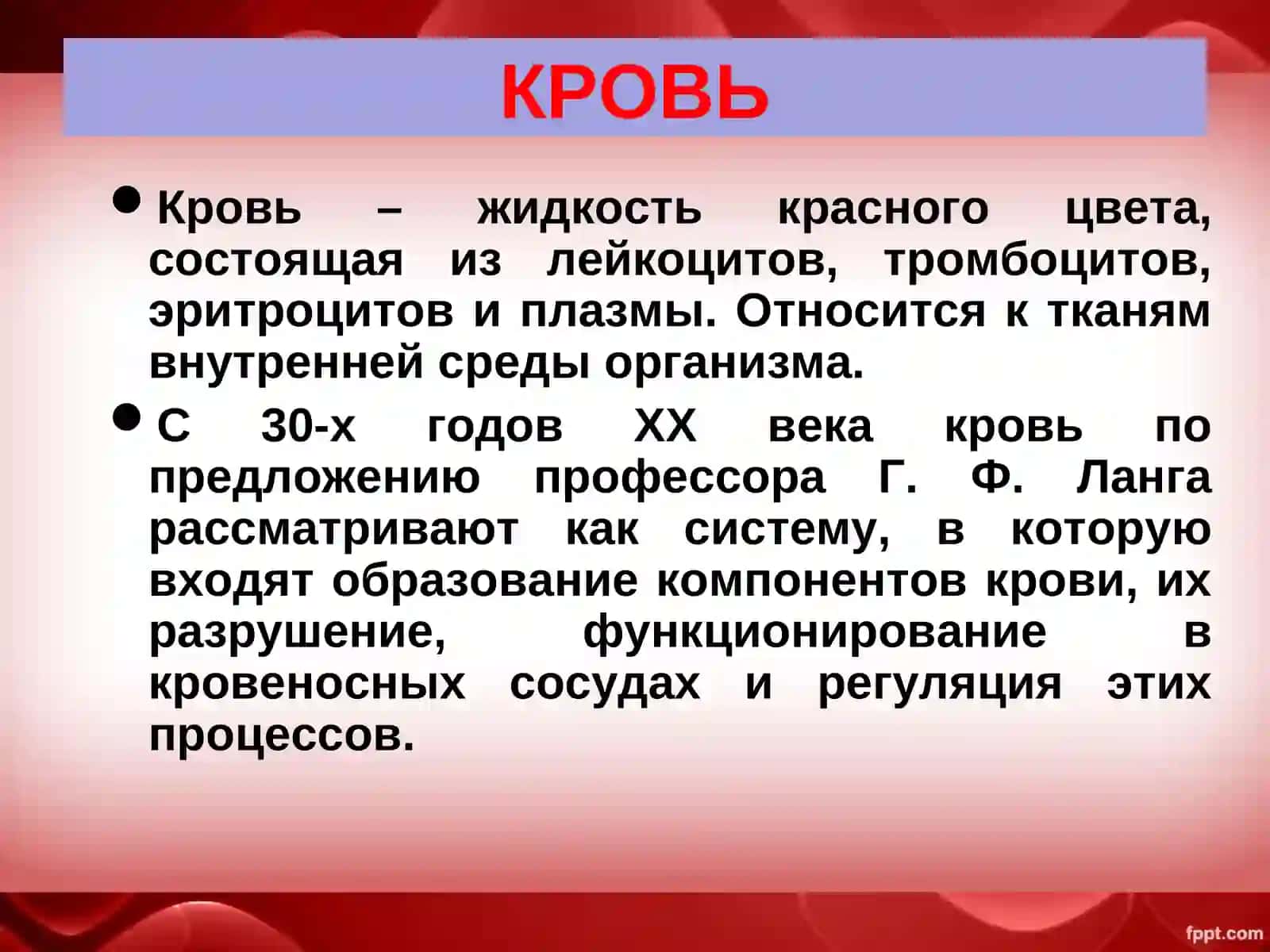 Кровь: состав, функции 2