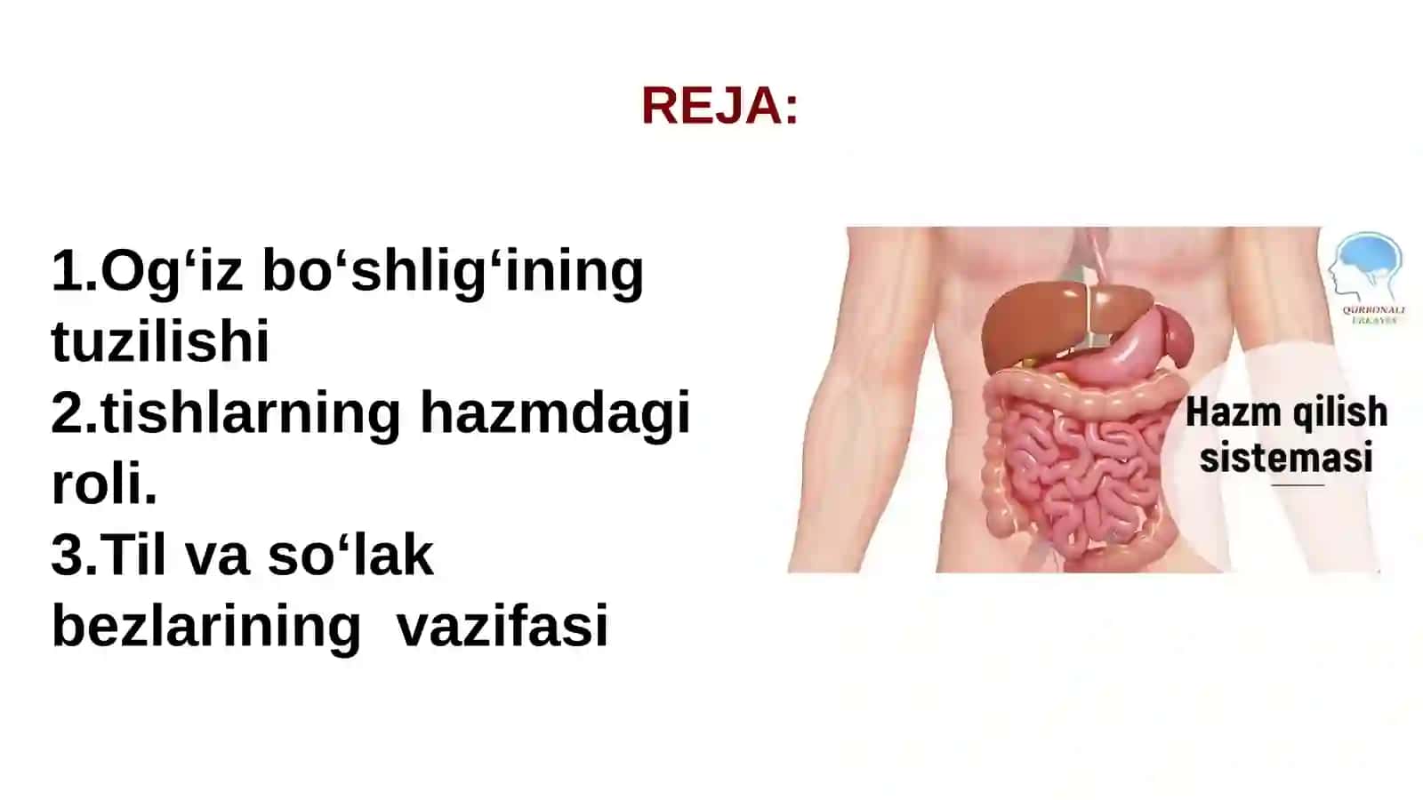 Ogʻiz boʻshligʻida va me’dada hazm qilish 2