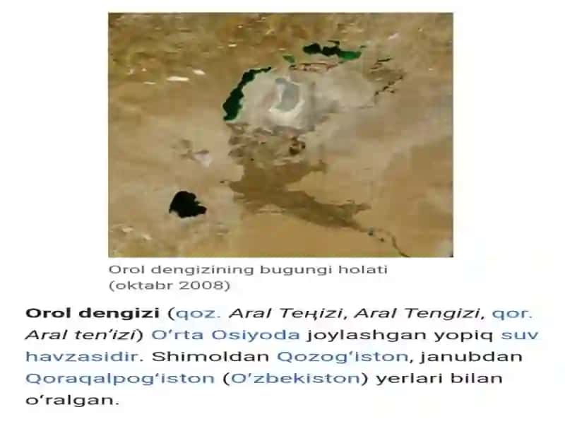 Orol dengizining qurishi oqibatida ekologik muammolar 2