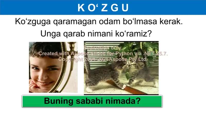 Yassi ko‘zgu 2