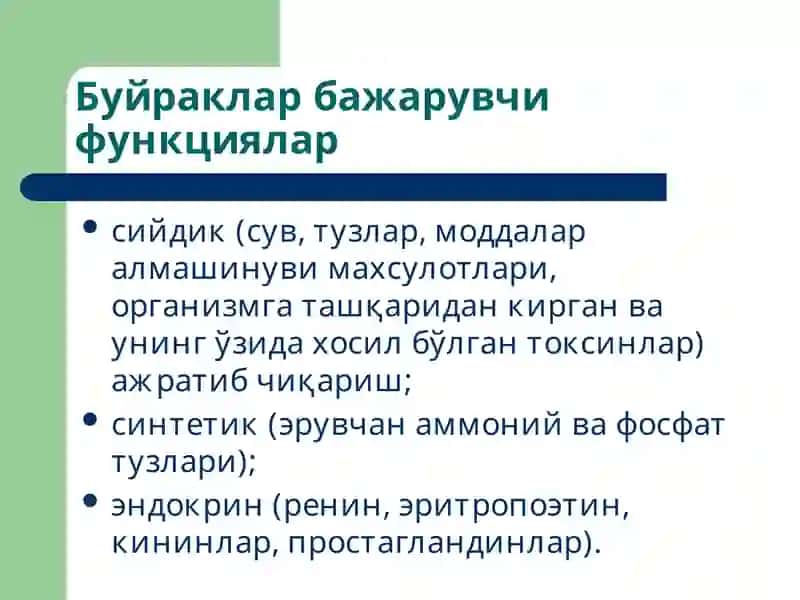 Буйраклар патофизиологияси 2