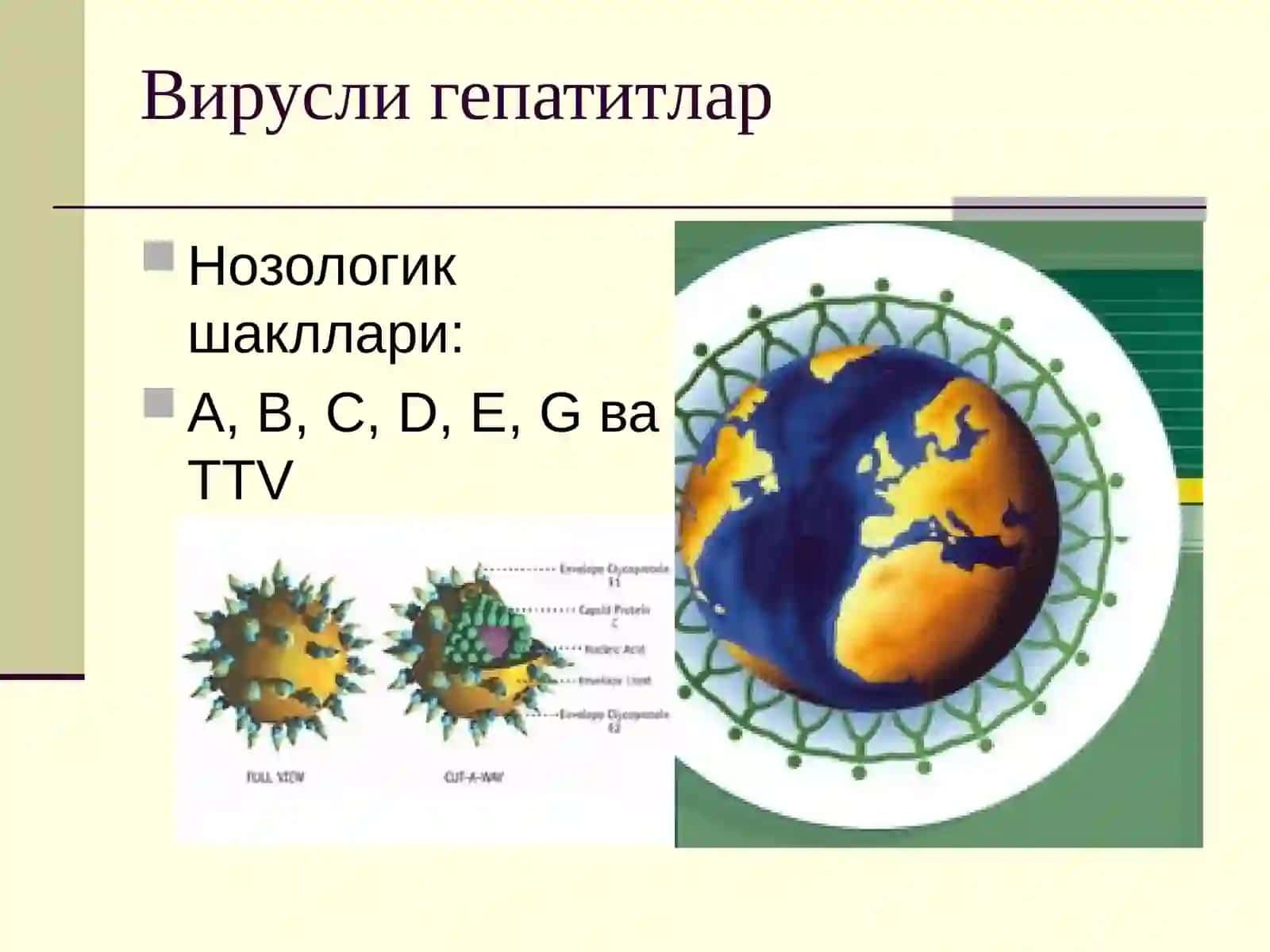 Вируслигепатитлар 2