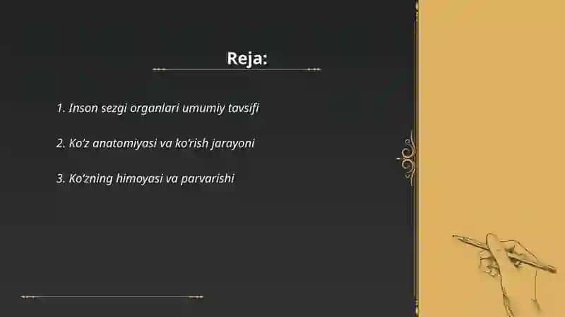 Inson Sezgi Organlari 2